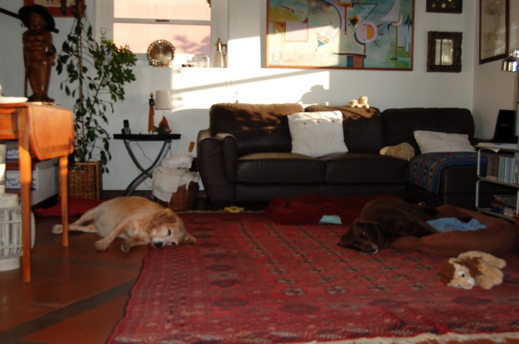 סינטרה Isa'S Home מראה חיצוני תמונה